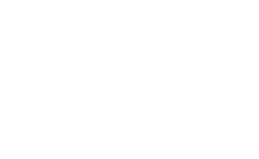 DPI+ — Dossier Patient Intégré
